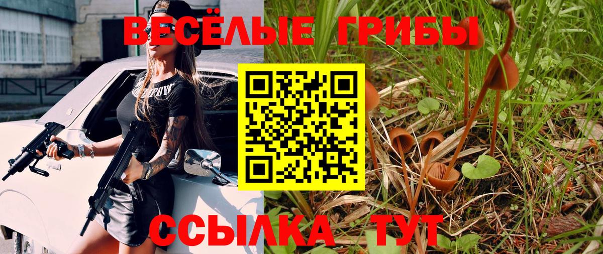 Псилоцибиновые грибы GOLDEN TEACHER  Вход с VPN  Сосновый Бор  Галлюциногенные грибы ЛСД 