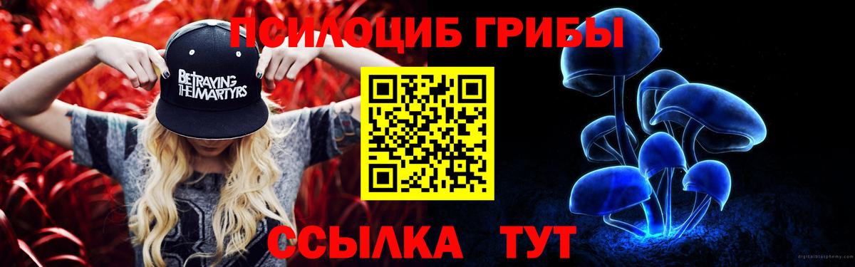 Галлюциногенные грибы Psilocybe Сосновый Бор